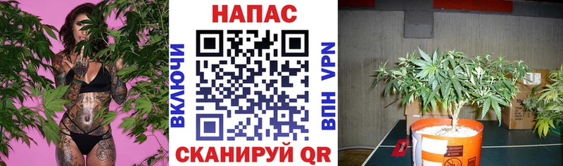 ссылка на мегу онион  Усть-Катав  Каннабис марихуана 